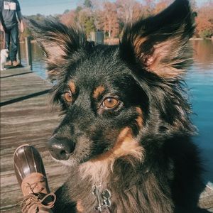 Meet your Posher, Emily